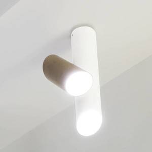 NEMO Nemo Tubes LED stropné svietidlo dvojsvetelné biele/sivé vyobraziť