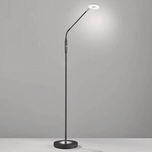 FISCHER & HONSEL Stojaca LED lampa Dent stmievateľná CCT 1pl čierna vyobraziť