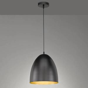 FISCHER & HONSEL Závesná lampa Mylon, čierna/zlatá, semioválna vyobraziť