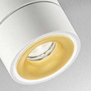 Egger Licht Egger Clippo Duo bodové LED, bielo-zlatá, 3 000 K vyobraziť