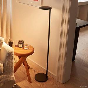 FLOS FLOS Oblique Floor stojacia LED lampa 927 antracit vyobraziť