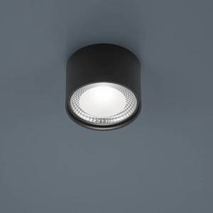 Helestra Helestra Kari stropné LED svietidlo okrúhle čierna vyobraziť