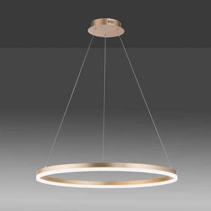 Paul Neuhaus LED závesné svietidlo Titus okrúhle Ø80cm mosadzná vyobraziť