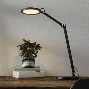 Fabas Luce LED lampa na písací stôl Regina stmievač, čierna vyobraziť