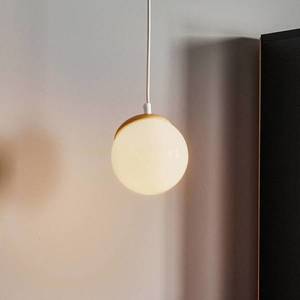 Eko-Light Závesná lampa Sfera 1-plameňová sklo/drevo svetlé vyobraziť