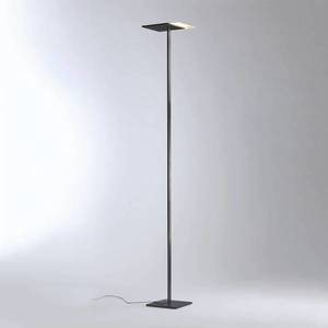 BOPP Bopp Flat stojaca LED lampa, stmievač antracit vyobraziť