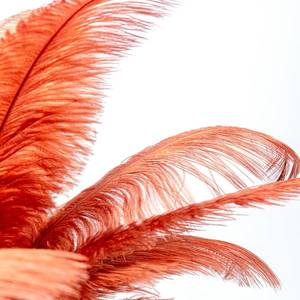 KARE KARE Feather Palm lampa s perím, hrdzavočervená vyobraziť