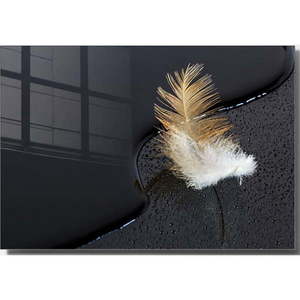 Sklenený obraz 70x50 cm Feather - Wallity vyobraziť