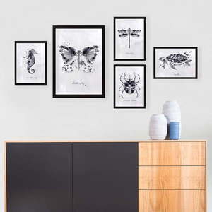 Obrazy v súprave 5 ks Butterfly – Wallity vyobraziť