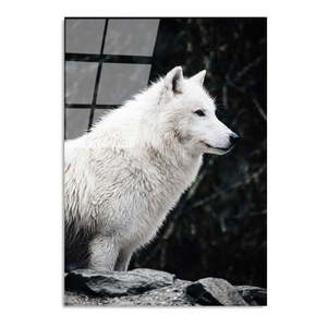 Sklenený obraz 70x100 cm White Wolf - Wallity vyobraziť