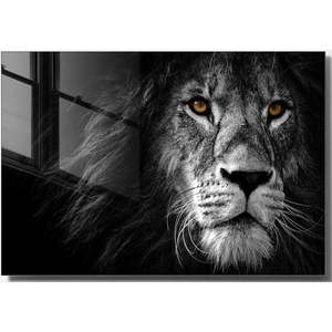 Sklenený obraz 70x50 cm Lion - Wallity vyobraziť