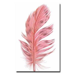 Obraz 45x70 cm Feather – Wallity vyobraziť