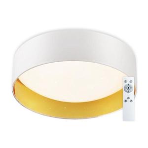 Top Light Top Light - LED Stmievateľné stropné svietidlo LED/24W/230V + diaľkové ovládanie biela vyobraziť