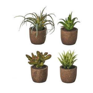 Umelé rastliny v súprave 4 ks (výška 10 cm) Cactus – Casa Selección vyobraziť