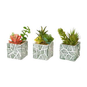 Umelé rastliny v súprave 3 ks (výška 12 cm) Cactus – Casa Selección vyobraziť