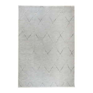 Sivý koberec 133x195 cm Jaipur – Webtappeti vyobraziť