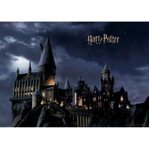Detská fototapeta Harry Potter 252 x 182 cm, 4 diely vyobraziť