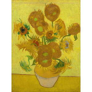Obraz - 50x70 cm reprodukcia Sunflowers, Vincent van Gogh – Fedkolor vyobraziť
