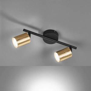 FISCHER & HONSEL LED stropné bodové svetlá Vano lístkové zlaté 2-pl vyobraziť
