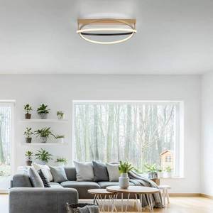 Q-Smart-Home Paul Neuhaus Q-Beluga stropné LED svetlo, mosadz vyobraziť