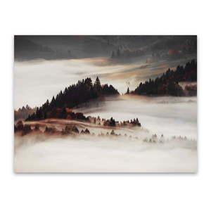 Obraz na plátne Styler Mist, 85 x 113 cm vyobraziť