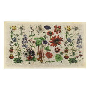 Rohožka 40x70 cm Botanicals - Artsy Doormats vyobraziť