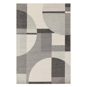 Sivý koberec 200x290 cm Muse – Asiatic Carpets vyobraziť