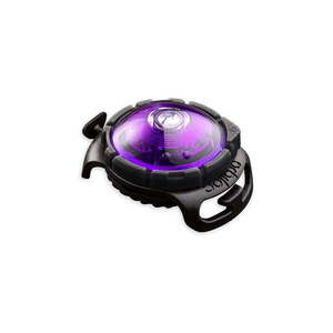 LED svetlo na obojok Purple – Orbiloc vyobraziť