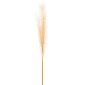 Pampas tráva, svetlohnedá, 9 x 77 cm vyobraziť