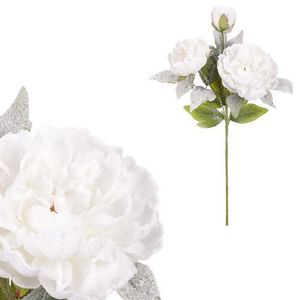 Pivonka, 3 kvety, biela farba vyobraziť