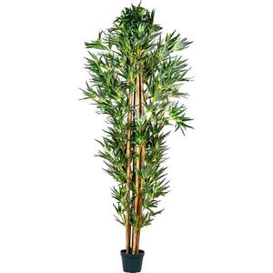 PLANTASIA 43289 Umelá kvetina - bambus - 190 cm vyobraziť