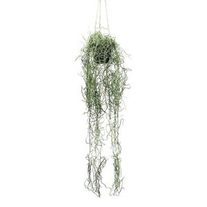 Umelá Rastlina Tilandsie, 80cm vyobraziť