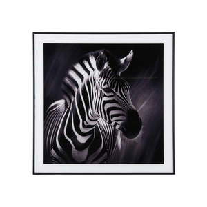 Obraz 50x50 cm Zebra - PT LIVING vyobraziť