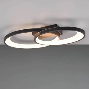 Reality Leuchten Stropné LED svetlo Malaga s 2 kruhmi, čierna vyobraziť