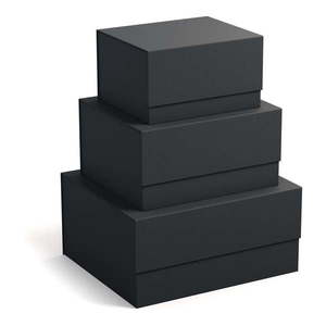 Kartónové úložné boxy s vekom v súprave 3 ks Ilse – Bigso Box of Sweden vyobraziť
