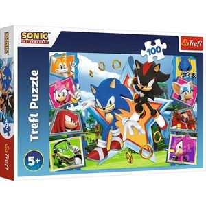 Trefl Puzzle Sonic Zoznámte sa s ježkom, 100 dielikov vyobraziť