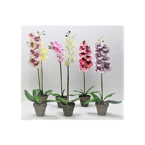 MAKRO - Orchidea umelá 63cm rôzne druhy vyobraziť