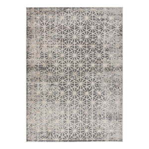 Sivý koberec 80x150 cm Paula - Universal vyobraziť