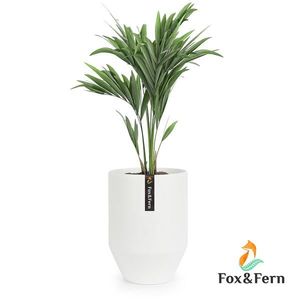 Fox & Fern Almere Kvetináč Polystone Ideálny pre rastliny, ručne vyrobený, okrúhly vyobraziť
