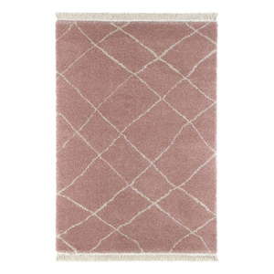 Ružový koberec 160x230 cm Bertha – Hanse Home vyobraziť