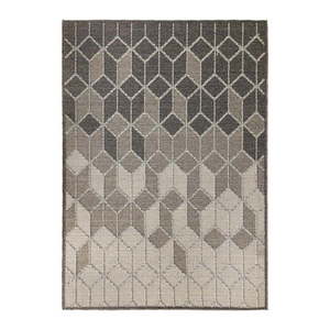 Sivo-krémový koberec Flair Rugs Dartmouth, 120 x 170 cm vyobraziť