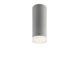Sivé stropné svietidlo so skleneným tienidlom - LAMKUR vyobraziť