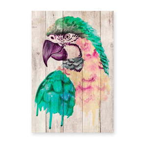 Nástenná dekorácia z borovicového dreva Madre Selva Watercolor Parrot, 60 × 40 cm vyobraziť