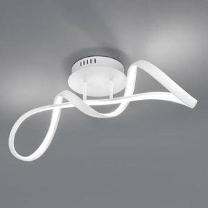 Reality Leuchten Stropné LED svetlo Perugia stmievač switch, biela vyobraziť