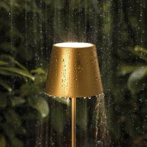 Sigor LED lampa Nuindie s batériou okrúhla, 38 cm, zlatá vyobraziť