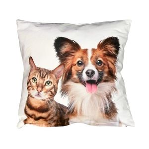 Fotonávlek, Mačička a psík, 40 x 40 cm vyobraziť