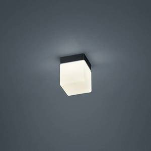 Helestra Helestra Keto stropné LED svetlo, kocka, čierna vyobraziť