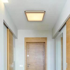 Globo Stropné LED svetlo Karla štvorcové 45 x 45 cm vyobraziť
