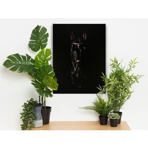 Obraz na plátne Čierny žrebec, 60x80 cm% vyobraziť