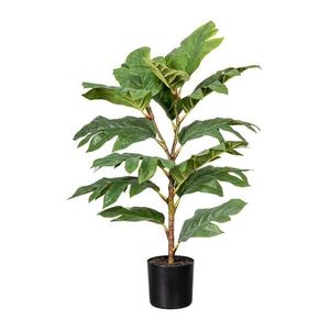 Umelá Rastlina Artocarpus I vyobraziť